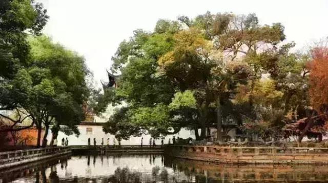 「佛教」（7.18）苏州西园戒幢律寺第十届菩提静修营