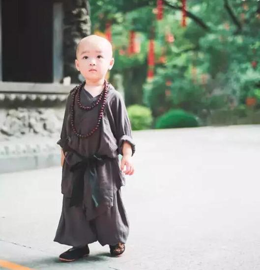 「灵隐寺」灵隐寺两岁“小和尚”萌爆网络