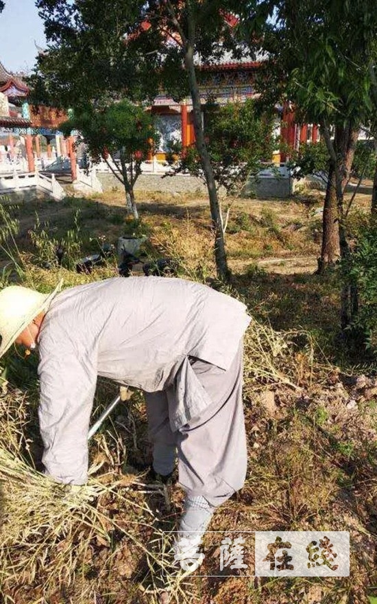「佛教」抢抓农时,自力更生,湖北各寺掀起春耕生产热潮 「佛教」抢抓农时,自力更生,湖北各寺掀起春耕生产热潮