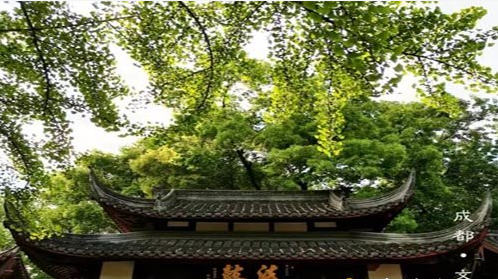 「文殊院」成都文殊院第十四届“智慧之旅”禅修营通启