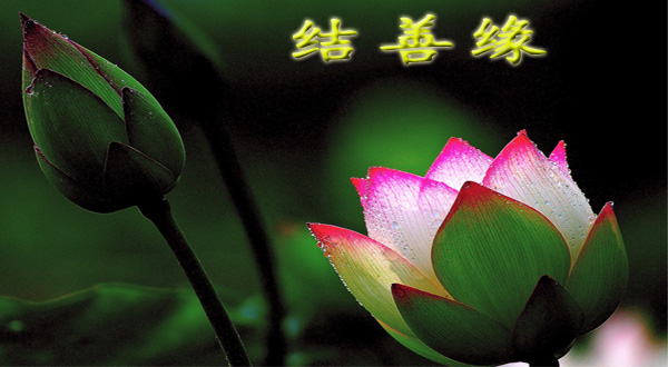 「佛教」白云禅师：攀缘与结缘