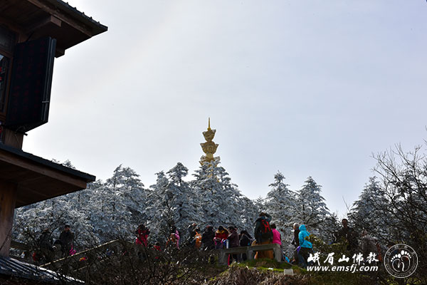 「峨眉山」（3.17）四川峨眉山行愿慈善行日期安排预告