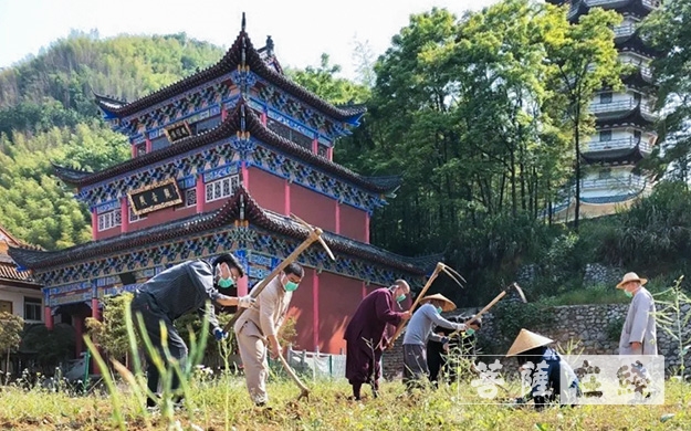 「佛教」传承农禅家风 湖北各寺不负农时春耕忙 「佛教」传承农禅家风 湖北各寺不负农时春耕忙