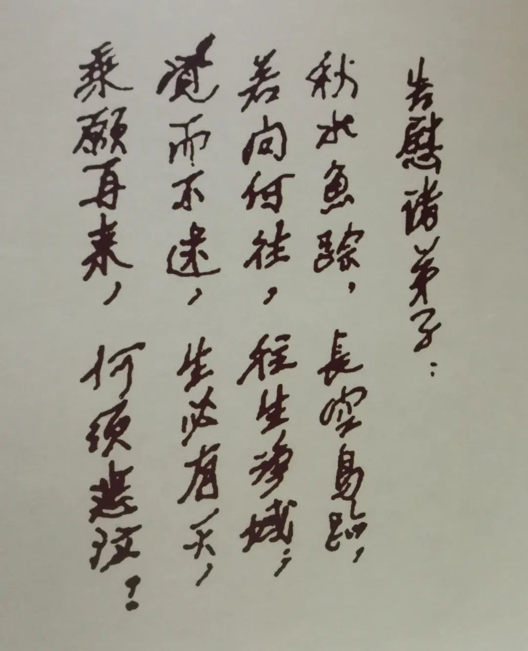 「佛教」纪念原中国佛教协会副会长茗山长老圆寂19周年