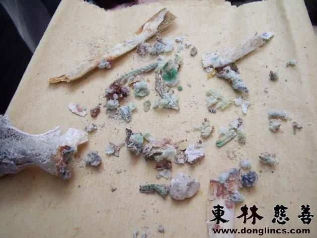 「武强」东林慈善安养院的第二十七朵莲花