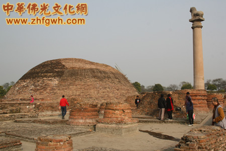 「佛教」中国佛学院参访团一行赴印度朝圣 湛如法师领队