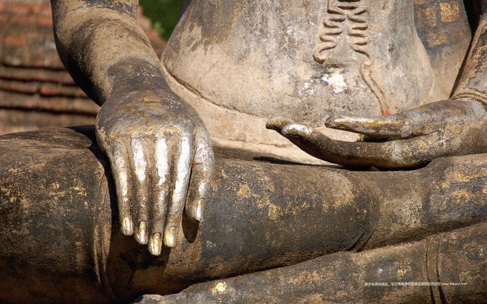 「佛教」现代因果报应录（四十三）烧死猫母，六子软骨