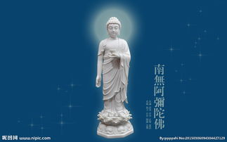 「佛教」阿弥陀鱼的故事