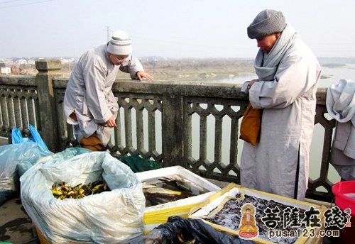 「佛教」湖南东山古寺法师前往伍市等地举行放生法会