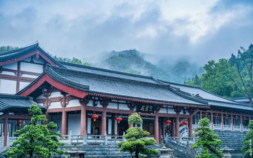 「莲花」曹山赏莲：看取莲花净，应知不染心