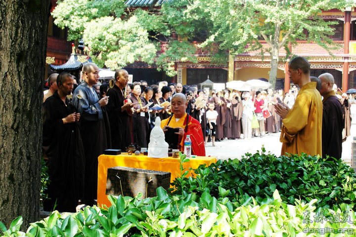 「佛教」弘法人才培训班结业,东林护生会组织放生 「佛教」弘法人才培训班结业,东林护生会组织放生