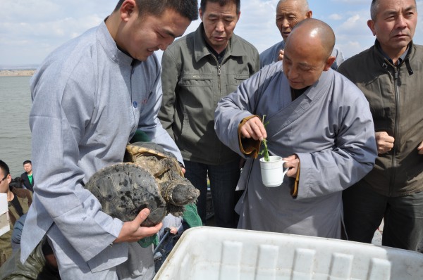 「放生功德」2014年5月4日山西广灵极乐寺放生活动在蔚县水库举行 「放生功德」2014年5月4日山西广灵极乐寺放生活动在蔚县水库举行