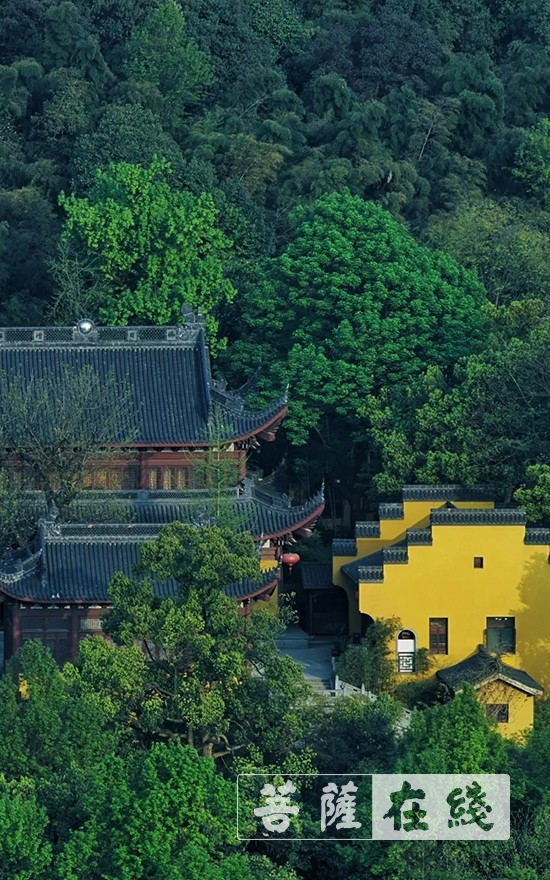 「佛教」寺院开放首日,杭州永福寺举行升国旗仪式 「佛教」寺院开放首日,杭州永福寺举行升国旗仪式