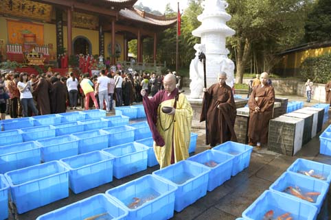 「放生仪轨」浙江绍兴炉峰禅寺隆重举行重阳节放生法会