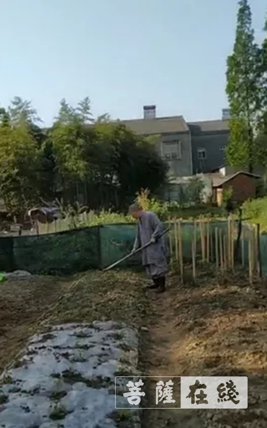 「佛教」抢抓农时,自力更生,湖北各寺掀起春耕生产热潮 「佛教」抢抓农时,自力更生,湖北各寺掀起春耕生产热潮
