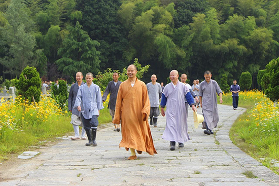 「真如禅寺」江西云居山真如禅寺大众出普坡插秧