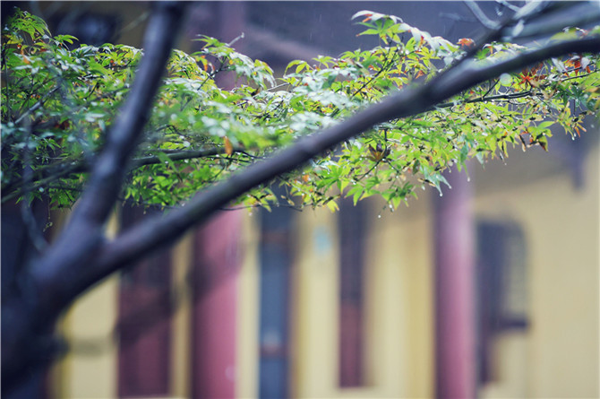 「佛教」佛七组图:一句弥陀 作大舟 「佛教」佛七组图:一句弥陀 作大舟