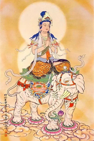 「普贤菩萨」【积福慧】2017普贤菩萨圣诞供灯共修（已圆满）