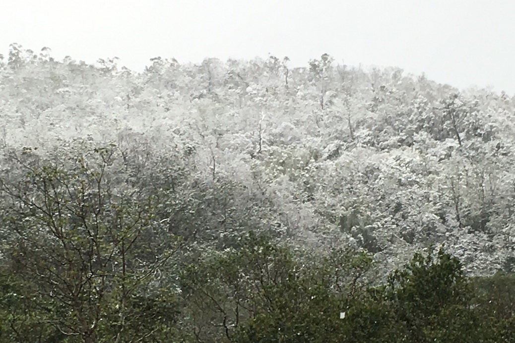 「佛光大学」王级寒流跑去台湾 宜兰佛光大学现百年难遇雪景