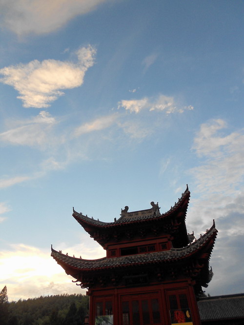 「鬼灯水月」水月清梅：法眼云霞无限美，禅修日日无终期