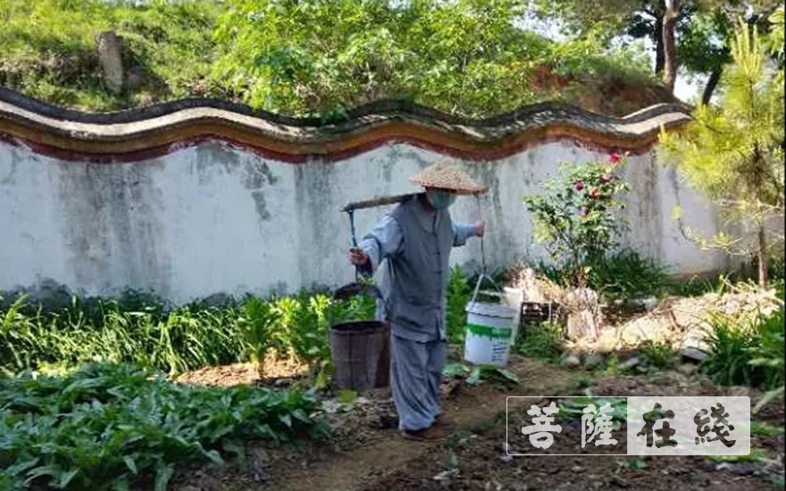 「佛教」抢抓农时,自力更生,湖北各寺掀起春耕生产热潮 「佛教」抢抓农时,自力更生,湖北各寺掀起春耕生产热潮