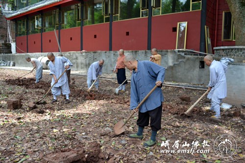 「报国寺」四川峨眉山报国寺僧众出坡劳动，躬行实践普贤菩萨愿行
