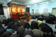 「佛教」河北柏林禅寺第二十一届禅七法会起七