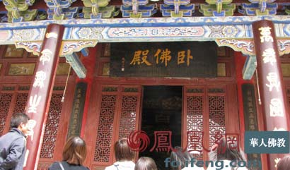 陈怀松：当罂粟花开满申遗大道时