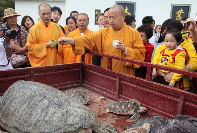「佛教」海南三亚南山寺主持放生法会 祈愿天下国泰民安
