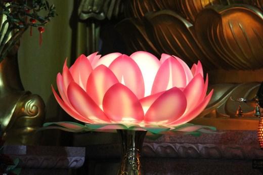 「极乐净土」莲 花 世 界 诗
