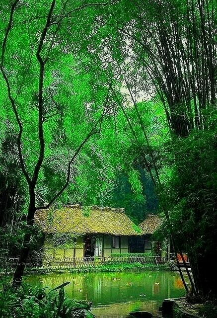 官财的故事
