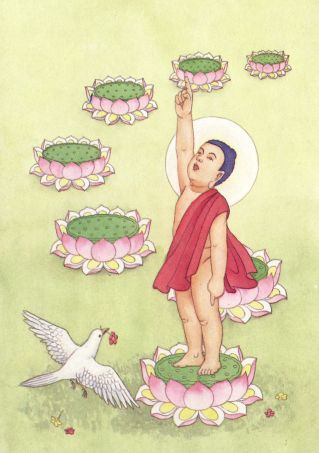 「佛教」我愿暂止飘零，去河边做一棵大树，
