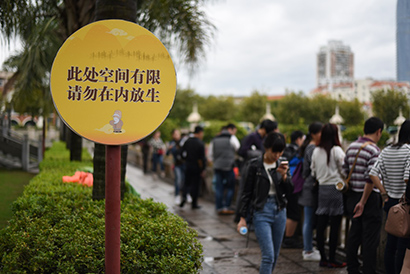 南普陀寺呼吁大众科学放生 莫使＂放生＂成＂杀生＂