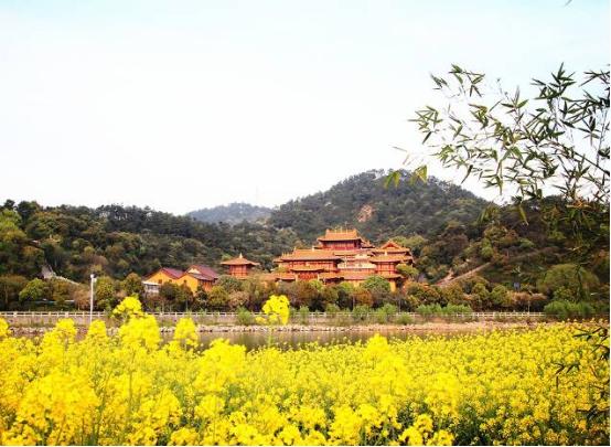 「多宝讲寺」浙江绍兴上虞多宝讲寺 第五期青年参学营招募通启