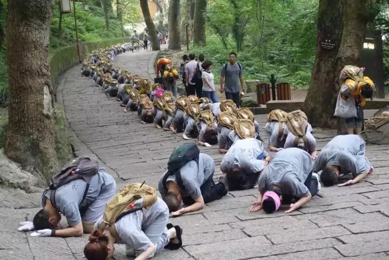 「九华山」2017年清明朝拜九华山、端午朝拜普陀山通知