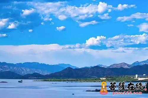 「佛教」河北省首届水生生物放流放生公益活动通启