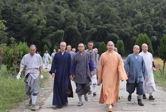 「真如禅寺」农禅并重 续尚宗风——真如禅寺大众出普坡收割水稻