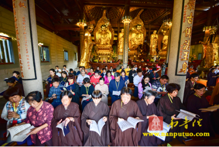 「药师如来」2017年厦门南普陀寺慈善会举行药师佛圣诞祈福法会通启