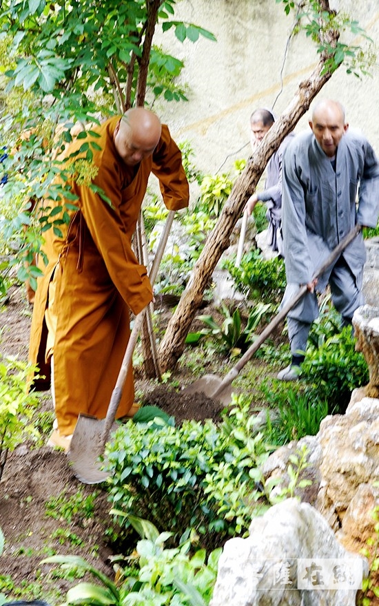 「佛教」徐州兴化寺僧众植树造林 创建绿色生态寺