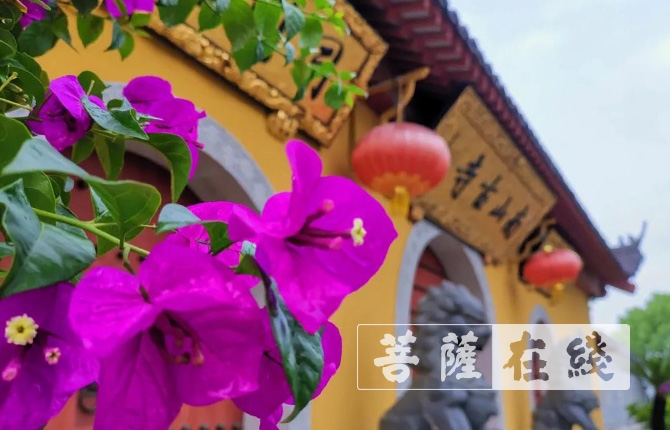 「疫情」上海南山古寺于8月5日恢复开放