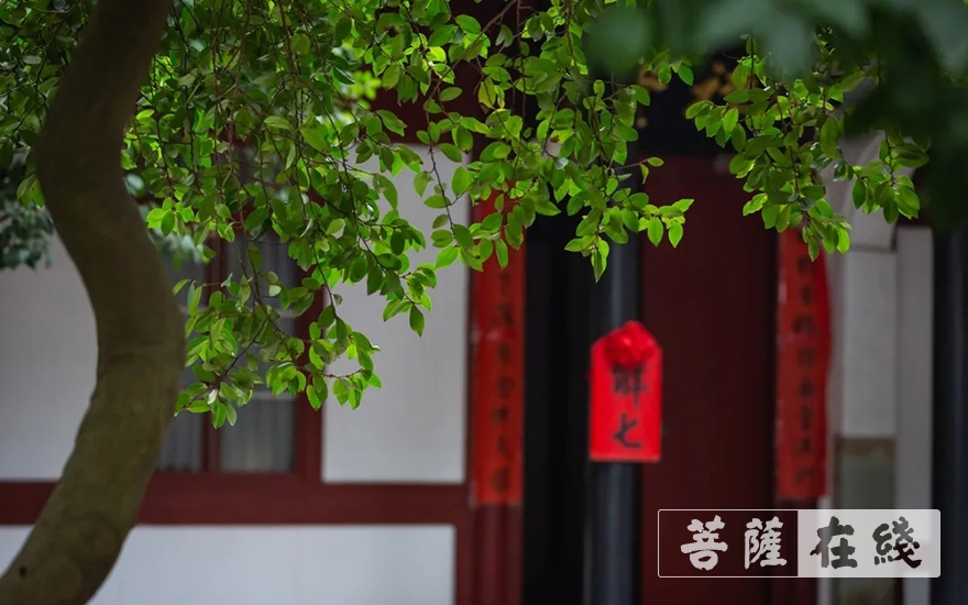 「阿育王」阿育王寺庚子年冬季禅七解七全过程