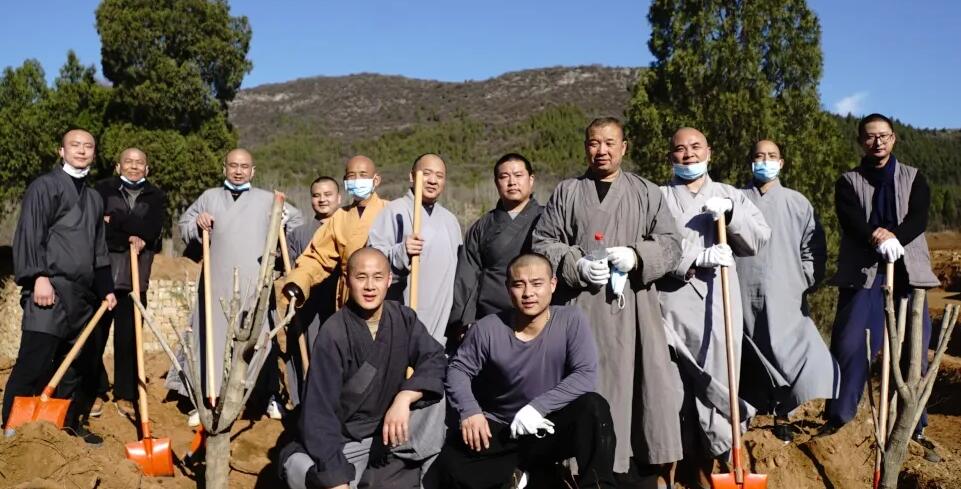 「少林寺」嵩山少林寺僧众集体出坡，栽植首批少林福树