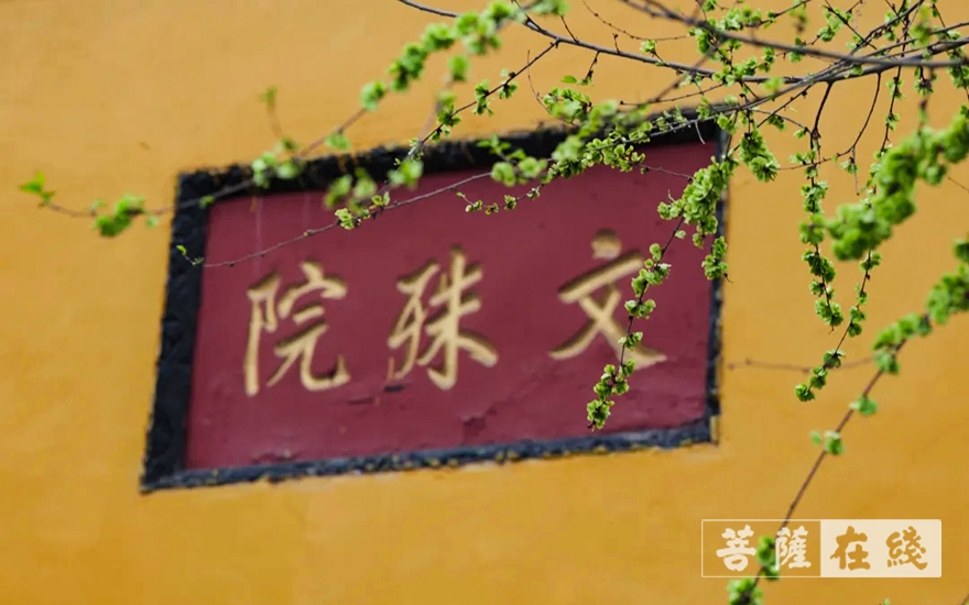 「文殊院」成都文殊院于3月9日起恢复开放