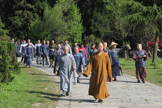 「云居山」江西云居山真如禅寺全体僧众出普坡采茶