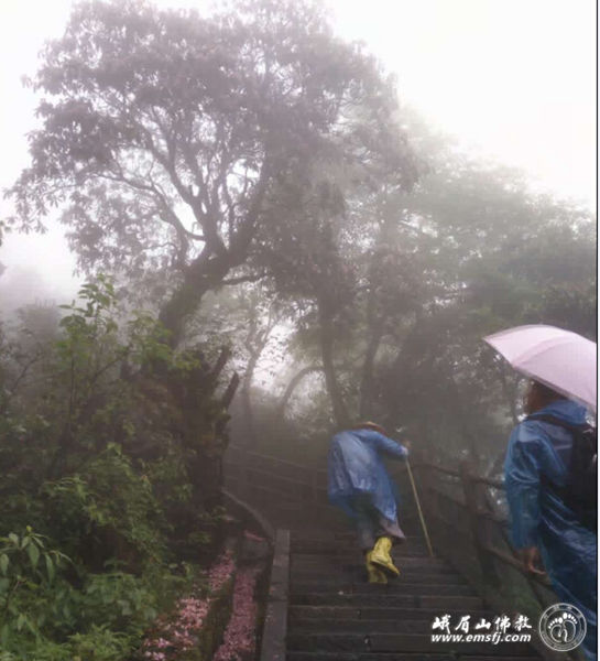 「普贤菩萨」四川峨眉山举行“行愿百人行　践行普贤愿”第十六期行愿慈善行