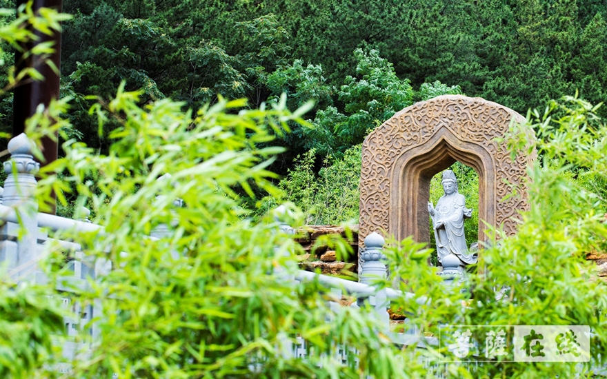 「佛教」蓁山观音寺荣获“2021年首届醉美景区攻略评选”第一名 「佛教」蓁山观音寺荣获“2021年首届醉美景区攻略评选”第一名