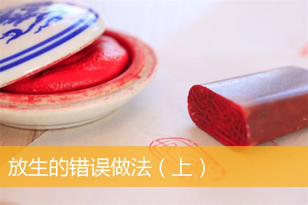 「放生功德」放生的错误做法（上）