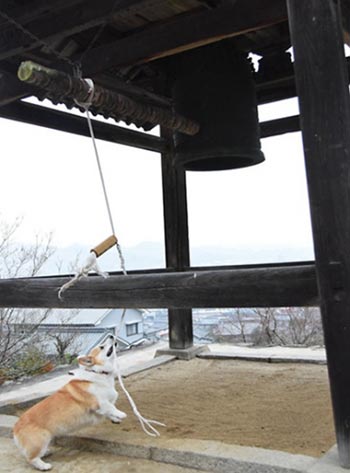 寺院