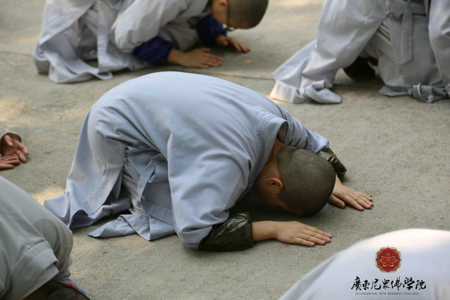 「佛教」广东尼众佛学院举行拜山祈福活动