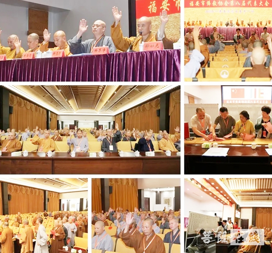 「佛教」福安市佛教协会第八届代表大会闭幕 慧照法师当选新一届会长 「佛教」福安市佛教协会第八届代表大会闭幕 慧照法师当选新一届会长